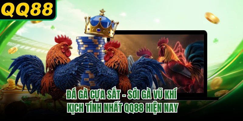 Đá Gà Cựa Sắt - Sới Gà Vũ Khí Kịch Tính Nhất QQ88 Hiện Nay 