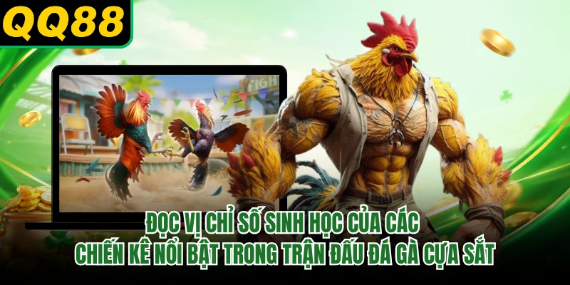 Đọc vị chỉ số sinh học của các chiến kê nổi bật trong trận đấu đá gà cựa sắt