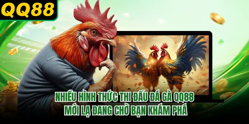 Nhiều hình thức thi đấu đá gà QQ88 mới lạ đang chờ bạn khám phá