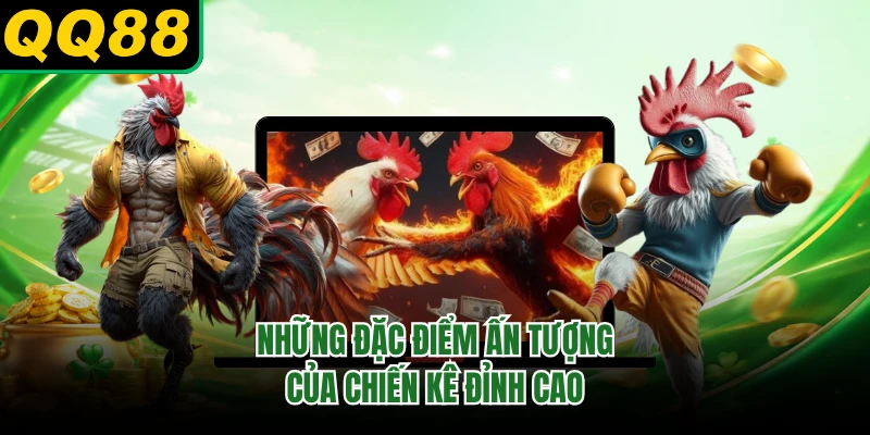 Những đặc điểm ấn tượng của chiến kê đỉnh cao