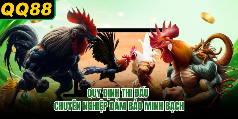 Quy định thi đấu chuyên nghiệp đảm bảo minh bạch