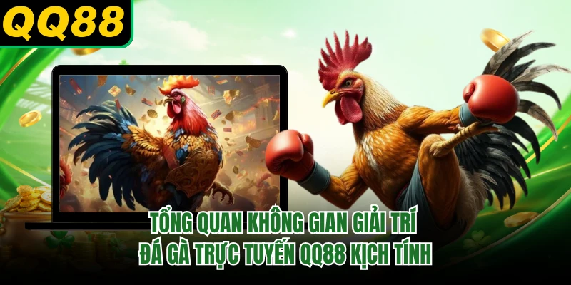Tổng quan không gian giải trí đá gà trực tuyến QQ88 kịch tính 
