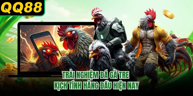 Trải nghiệm đá gà tre kịch tính hàng đầu hiện nay